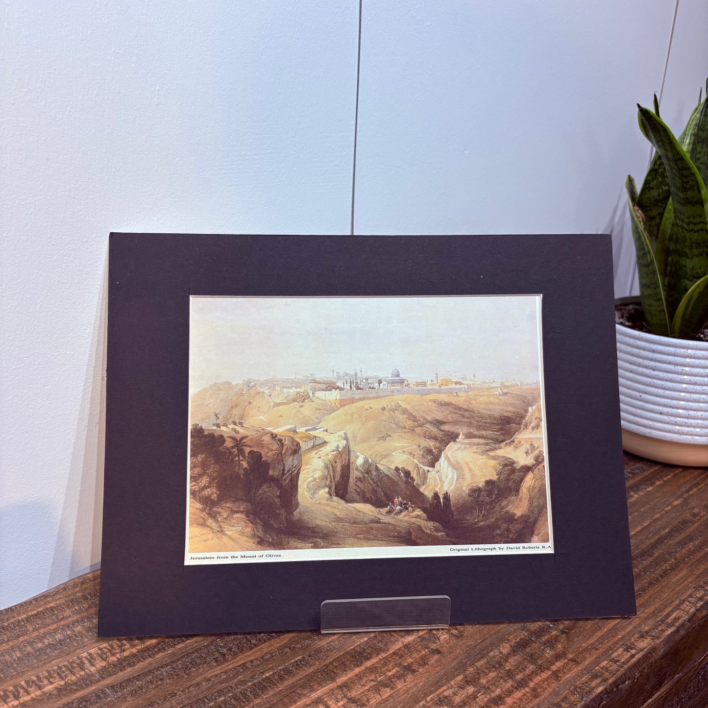 Portrait of Jerusalem from the Mount of Olives