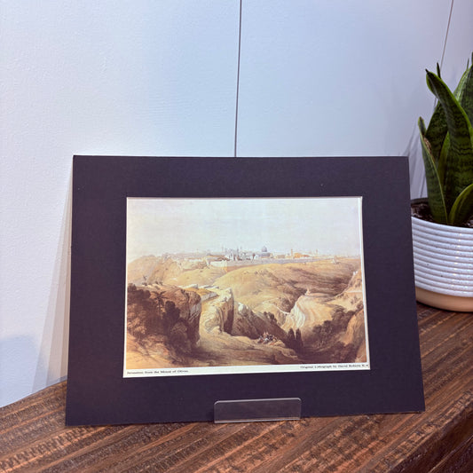 Portrait of Jerusalem from the Mount of Olives